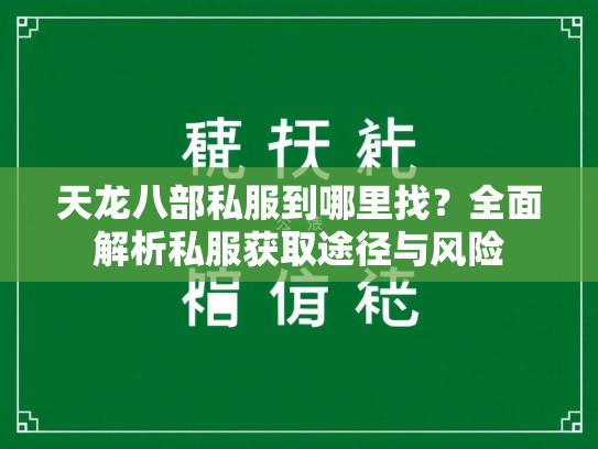 天龙八部私服到哪里找？全面解析私服获取途径与风险  第2张