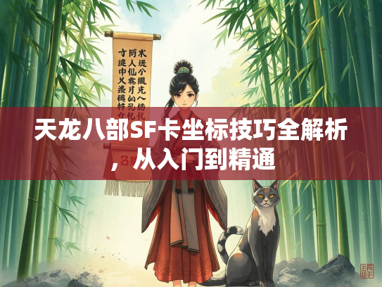 天龙八部SF卡坐标技巧全解析，技巧从入门到精通  第1张