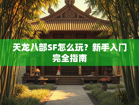 天龙八部SF怎么玩？新手入门完全指南  第2张