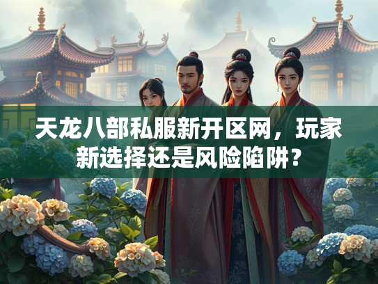 天龙八部私服新开区网，玩家新选择还是风险陷阱？  第2张