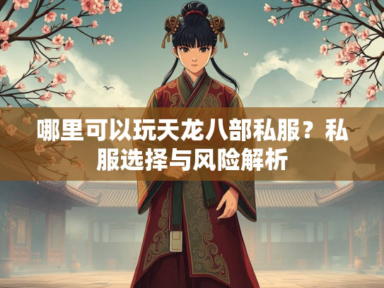哪里可以玩天龙八部私服？私服选择与风险解析  第3张