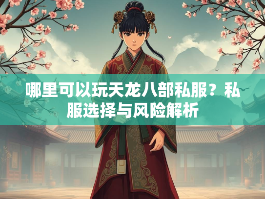 哪里可以玩天龙八部私服？私服选择与风险解析  第1张