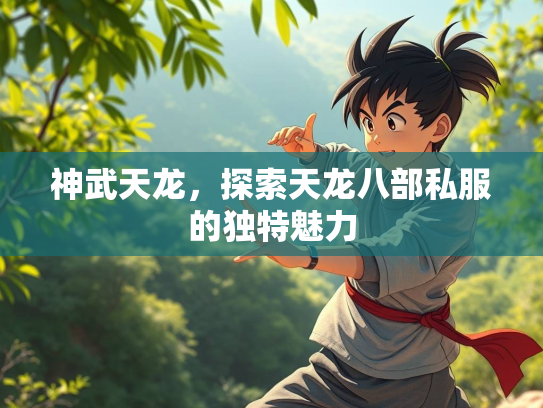 神武天龙，探索天龙八部私服的独特魅力  第3张