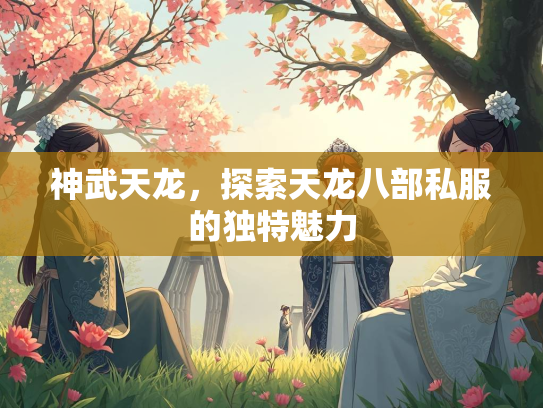 神武天龙，探索天龙八部私服的独特魅力