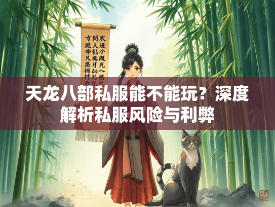 天龙八部私服能不能玩？深度解析私服风险与利弊