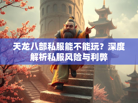 天龙八部私服能不能玩？深度解析私服风险与利弊