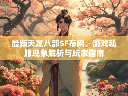 最新天龙八部SF布网，游戏私服现象解析与玩家指南  第1张