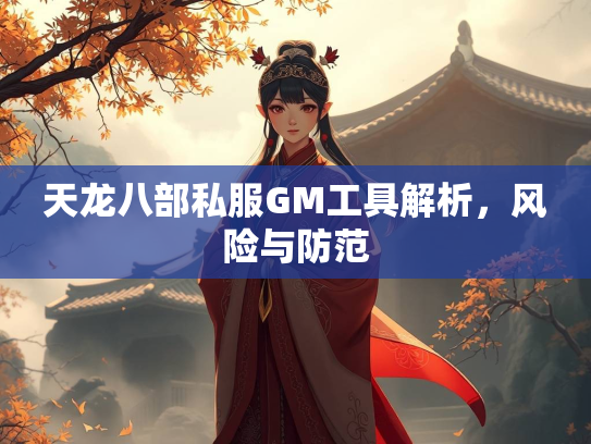 天龙八部私服GM工具解析，风险与防范  第2张