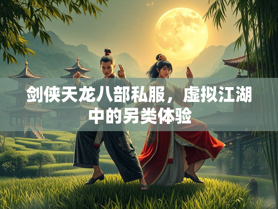 剑侠天龙八部私服，虚拟江湖中的另类体验  第3张