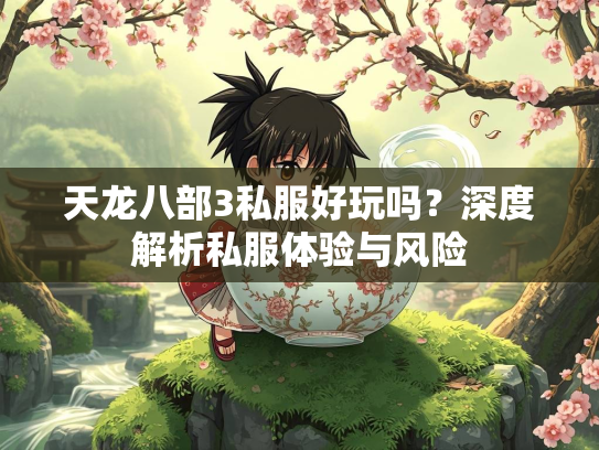 天龙八部3私服好玩吗？深度解析私服体验与风险  第1张