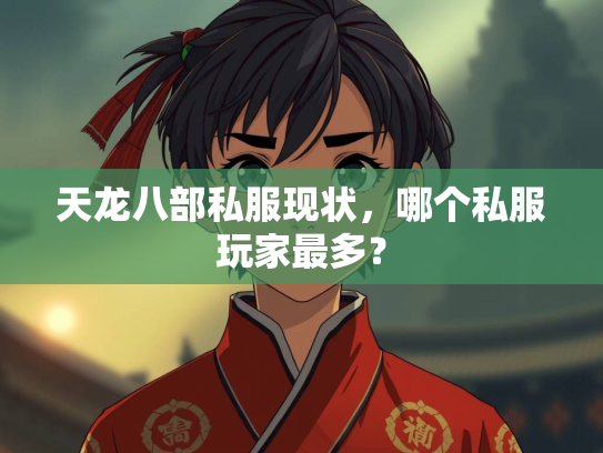 天龙八部私服现状，哪个私服玩家最多？  第2张