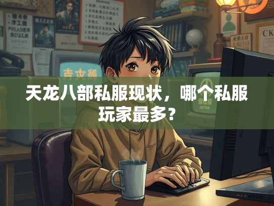天龙八部私服现状，哪个私服玩家最多？