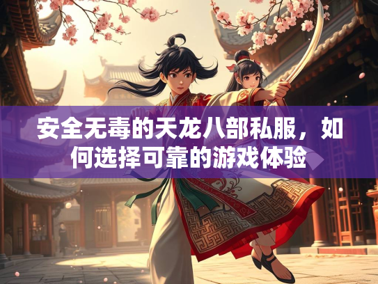 安全无毒的天龙八部私服，如何选择可靠的游戏体验