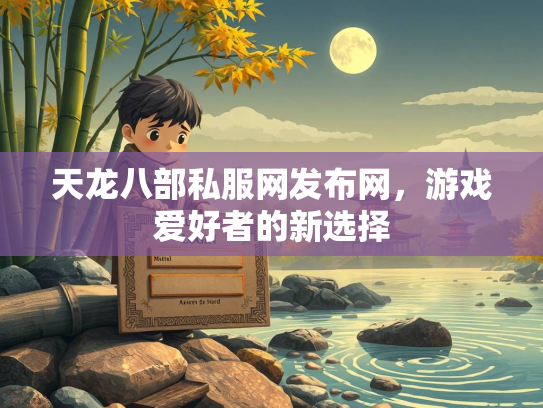 天龙八部私服网发布网，游戏爱好者的新选择  第3张
