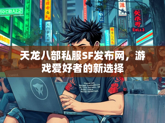 天龙八部私服SF发布网，游戏爱好者的新选择  第3张