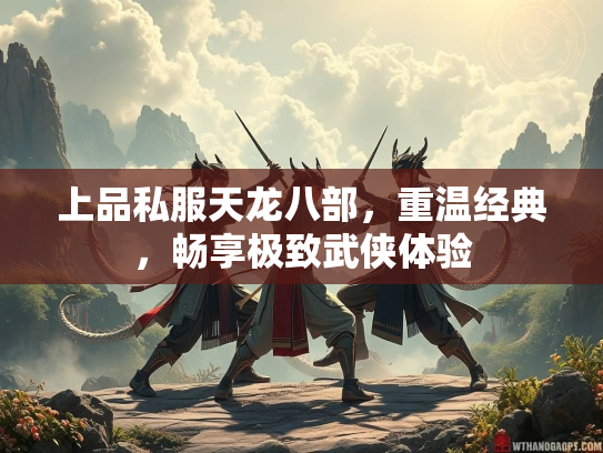 上品私服天龙八部，重温经典，畅享极致武侠体验  第3张