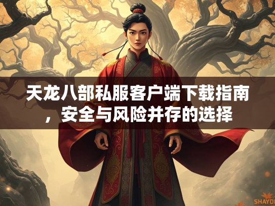 天龙八部私服客户端下载指南，安全与风险并存的选择