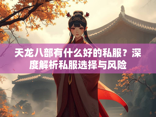 天龙八部有什么好的私服？深度解析私服选择与风险  第2张