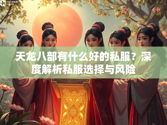 天龙八部有什么好的私服？深度解析私服选择与风险  第3张