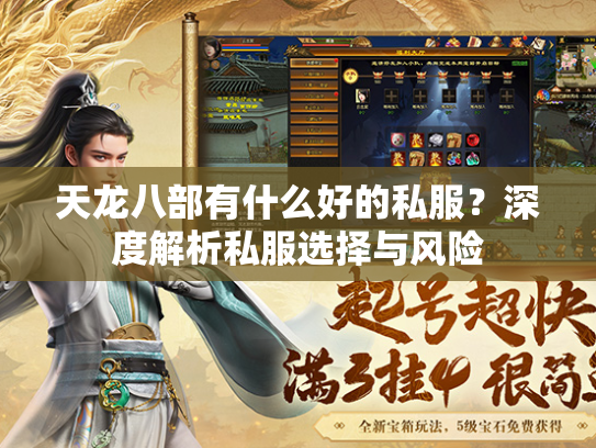 天龙八部有什么好的私服？深度解析私服选择与风险