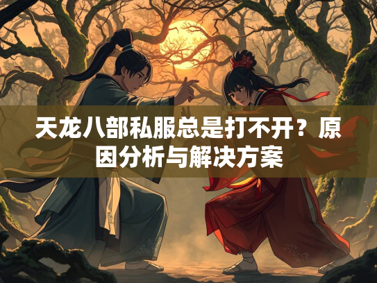 天龙八部私服总是打不开？原因分析与解决方案  第1张