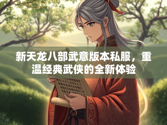 新天龙八部武意版本私服，重温经典武侠的全新体验  第2张