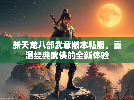 新天龙八部武意版本私服，重温经典武侠的全新体验  第3张