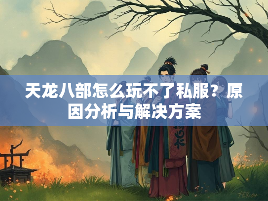 天龙八部怎么玩不了私服？原因分析与解决方案
