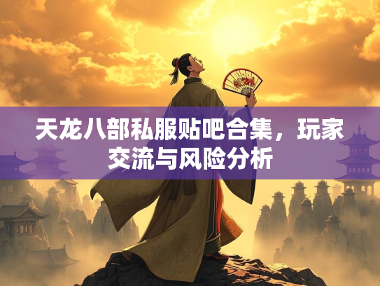 天龙八部私服贴吧合集，玩家交流与风险分析  第4张