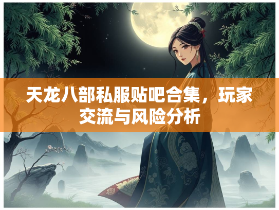 天龙八部私服贴吧合集，玩家交流与风险分析  第5张