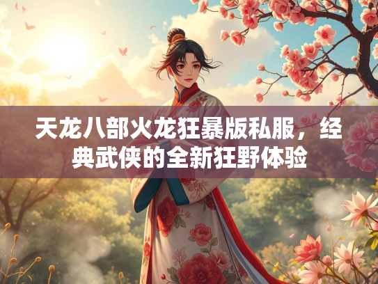 天龙八部火龙狂暴版私服，经典武侠的全新狂野体验  第3张