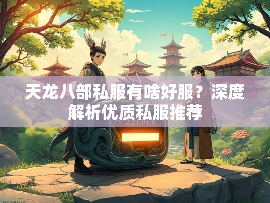 天龙八部私服有啥好服？深度解析优质私服推荐  第5张