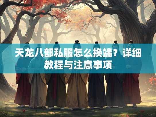 天龙八部私服怎么换端？详细教程与注意事项
