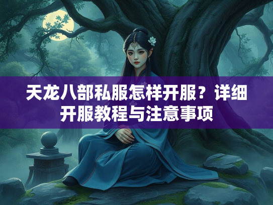 天龙八部私服怎样开服？详细开服教程与注意事项  第4张