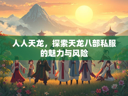 人人天龙，探索天龙八部私服的魅力与风险  第3张