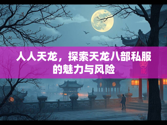 人人天龙，探索天龙八部私服的魅力与风险  第1张