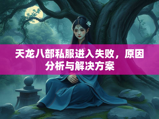 天龙八部私服进入失败，原因分析与解决方案  第3张