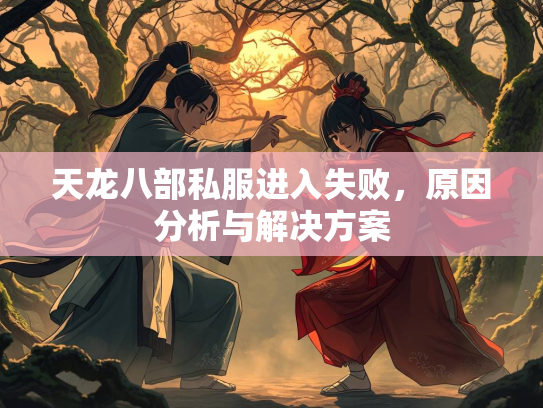 天龙八部私服进入失败，原因分析与解决方案  第4张