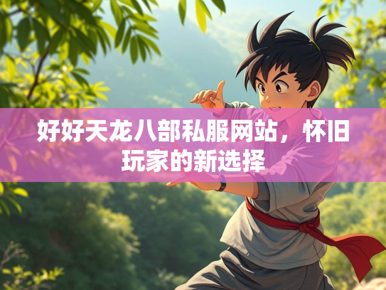 好好天龙八部私服网站，怀旧玩家的新选择  第1张