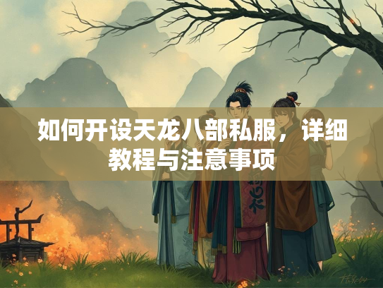 如何开设天龙八部私服，详细教程与注意事项  第3张