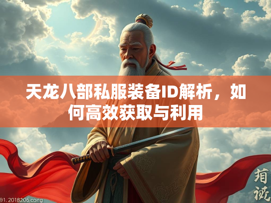 天龙八部私服装备ID解析，如何高效获取与利用  第4张