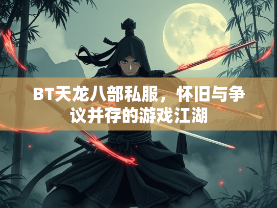 BT天龙八部私服，怀旧与争议并存的游戏江湖  第1张