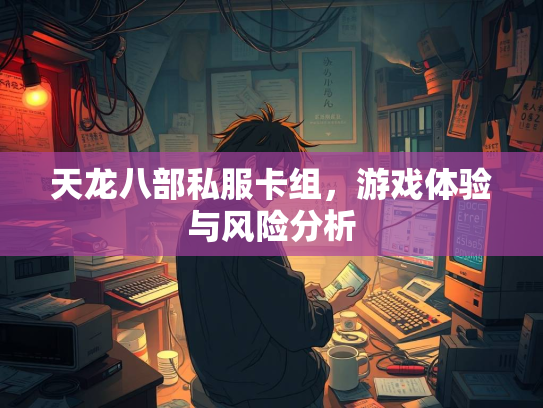 天龙八部私服卡组，游戏体验与风险分析  第4张