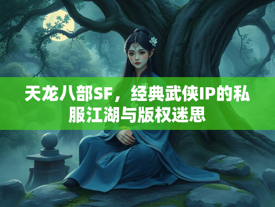 天龙八部SF，经典武侠IP的私服江湖与版权迷思  第1张