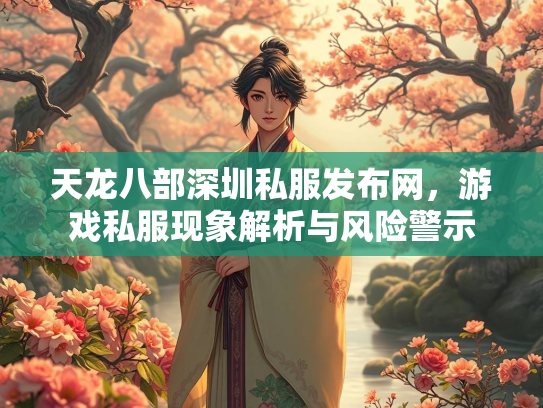 天龙八部深圳私服发布网，游戏私服现象解析与风险警示  第5张