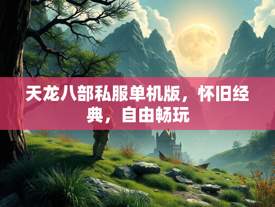 天龙八部私服单机版，怀旧经典，自由畅玩  第1张