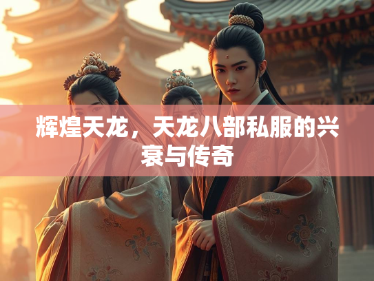 辉煌天龙，天龙八部私服的兴衰与传奇  第3张