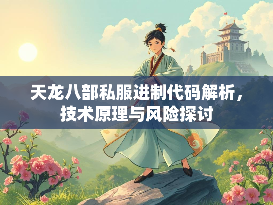 天龙八部私服进制代码解析，技术原理与风险探讨