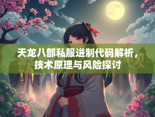 天龙八部私服进制代码解析，技术原理与风险探讨