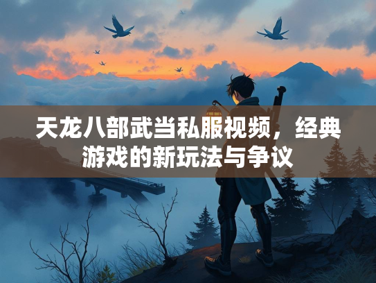 天龙八部武当私服视频，经典游戏的新玩法与争议  第2张